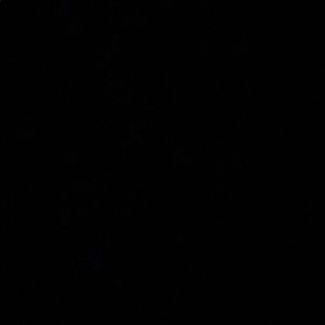 Meet your Posher, Ashtyn